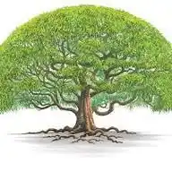 Tree Ambassadors WhatsApp Channel