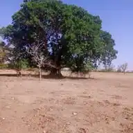 Tu Veux Ton Terrain Où 🇧🇫🇧🇫🇧🇫 WhatsApp Channel