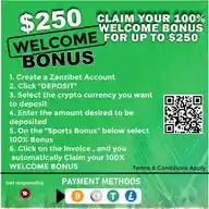ZANZI ONLINE WhatsApp Channel