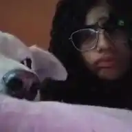 aligetta777 WhatsApp Channel