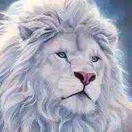 Burdens From Zion WhatsApp Channel