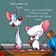 بينكي وبرين🌸. WhatsApp Channel