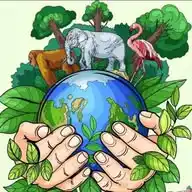 Climate Chronicles WhatsApp Channel