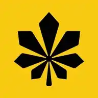 Де у Києві WhatsApp Channel