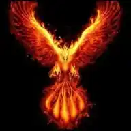 EL FENIX INFORMA 2