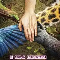 El Rincón Ecocentrico WhatsApp Channel