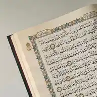 فَرِحِينَ بِمَا آتَاهُمُ اللَّهُ مِنْ فَضْلِهِ WhatsApp Channel