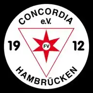 FV Hambrücken WhatsApp Channel