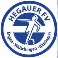 Hegauer FV WhatsApp Channel