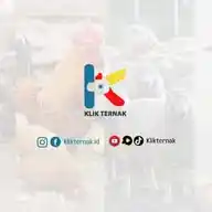 Klik Ternak WhatsApp Channel