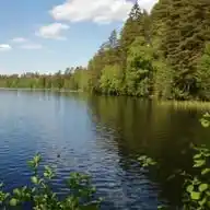 Luontotuokio & Ystävätoiminta Suonenjoki WhatsApp Channel