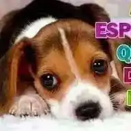 misoginia WhatsApp Channel