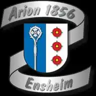 MV Arion Ensheim WhatsApp Channel