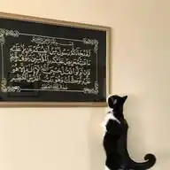 ↜ركُـُنـِِـِـ هاڊئ🧸💐. WhatsApp Channel