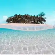 Save Our Blue Ocean WhatsApp Channel
