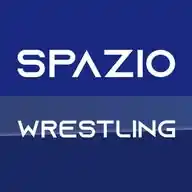 spaziowrestling.it WhatsApp Channel