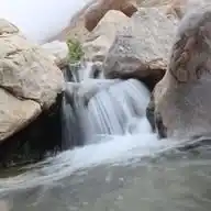 ذئب الفلا WhatsApp Channel