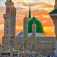 Tlp Walay WhatsApp Channel
