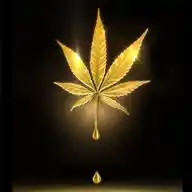 Vape Party! WhatsApp Channel
