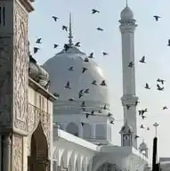 عابرون والدنيا ليست لنا WhatsApp Channel