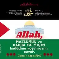 AYET-HADİS-VECİZE KANALI WhatsApp Channel