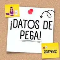 Datos de Pega WhatsApp Channel