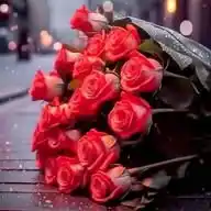 ❤️•°سنہری باتیں°•❤️ WhatsApp Channel