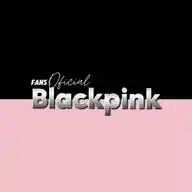 fans oficial do blackpink WhatsApp Channel