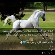 جروح الحياه WhatsApp Channel