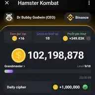 HAMSTER & TAPSWAP KINGS & QUEENS WhatsApp Channel