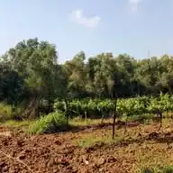 השקעה בנדל"ן WhatsApp Channel