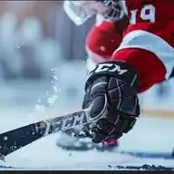 Ice Hockey Sure Odds WhatsApp Channel