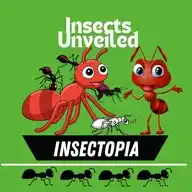 Insectopia99 WhatsApp Channel