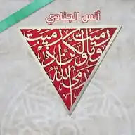 قناة أنس الجنادي WhatsApp Channel