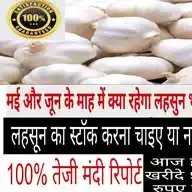 लहसुन तेजी मंडी रिपोर्ट 2024 WhatsApp Channel