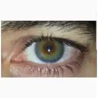 Loser prince Hamdan WhatsApp Channel