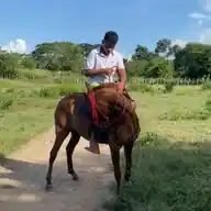 Luis  WhatsApp Channel