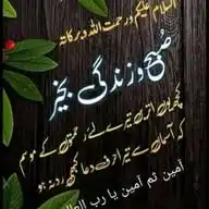 Qaseem Khan WhatsApp Channel