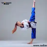 Taekwondoking WhatsApp Channel