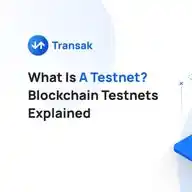 Testnet Networks WhatsApp Channel