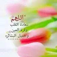 ذكر الله سعادة WhatsApp Channel