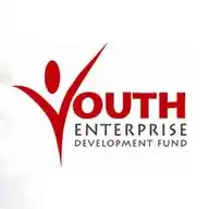 Youth Fund WhatsApp Channel