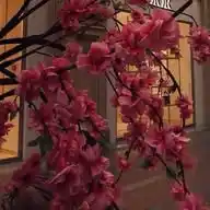 yussiigirlss 🌸 WhatsApp Channel