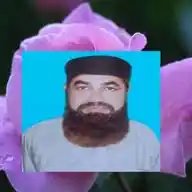Bakht Zada Buneray WhatsApp Channel
