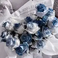 blaue Rosen und verschneite Nächte WhatsApp Channel