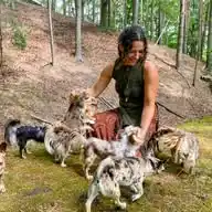 Chihuahuas from the laughing Mountains 🐶 WhatsApp Channel