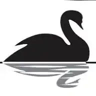 Cisne Negro WhatsApp Channel