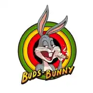 CSC Buds Bunny e. V. WhatsApp Channel