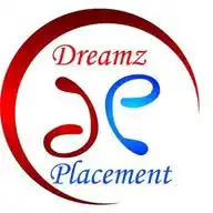 Dreamz Placement WhatsApp Channel