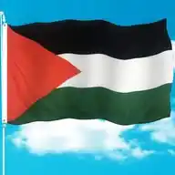 Free Palestina WhatsApp Channel